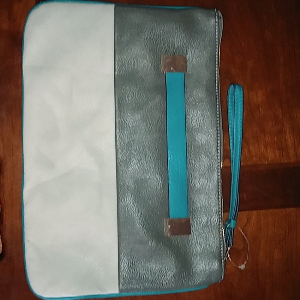 Wristlet or handbag